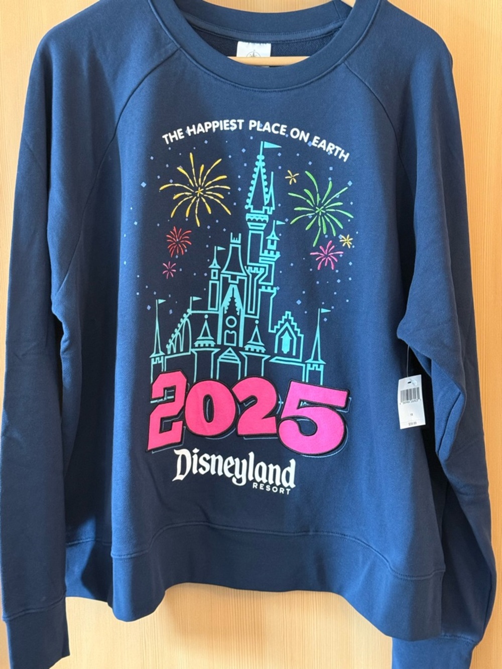 Disneyland Resort 2025 Women's Navy Graphic Sweatshirt Size 1X Brand New